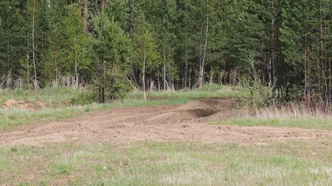 Tank Appearing from the Forrest Stock Footage 95778186