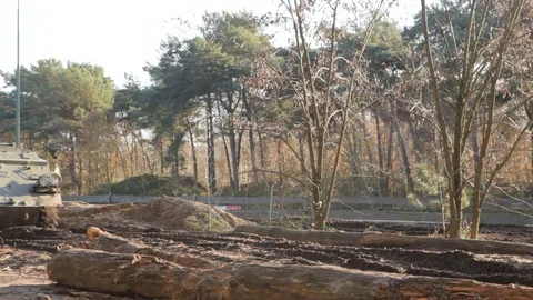 Tank Driving Over A Fallen Tree Stock Footage 127433858