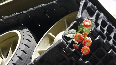 Tank with Flowers 스톡 동영상 5618530