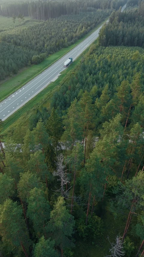 Tank truck driving along empty forest road beside dense green pine woodland Stock Footage 345535969