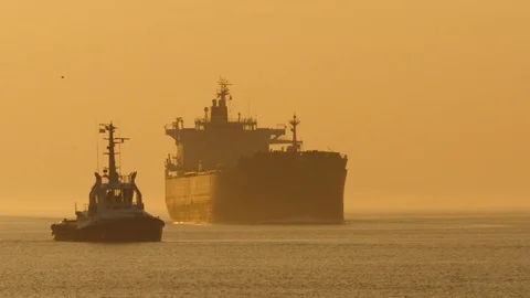 Tanker Atlantic Olive inbound during sunset Stock Footage