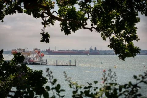 Tanker Through the Trees Stock Photos