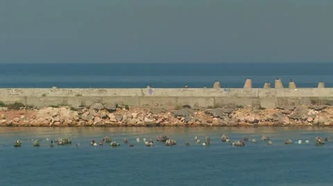 Tanks on the move. Stock Footage 8914215