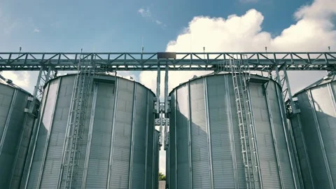 Tanks for processing and storage of soybean and wheat grain. Harvesting and Video stock 156610781
