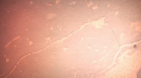 Tanks top view (looping) Stock Footage