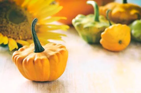 Tanksgiving background Stock Photos