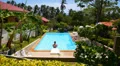 Tanned Sexy Man Swimming in the Outdoor Pool. Beautiful Green Landscape. Slow HD Footage