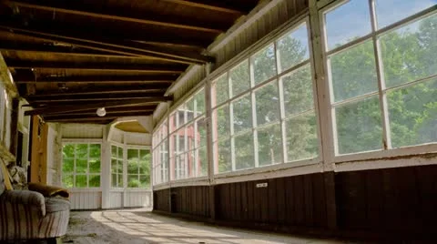 Tannenfeld Video stock 11130998