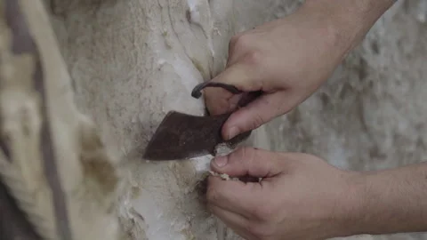 Tanner Cleans Cowhide with Knife Stock Footage 245798010