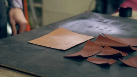 Tanner at work Video stock 101366090