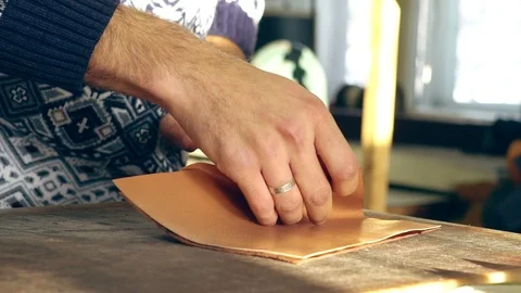 Tanner at work Stock Footage 105396628