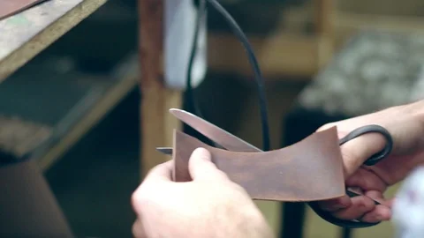 Tanner at work Stock Footage 111452531