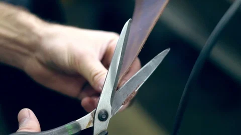 Tanner at work in the Studio Stock Footage 116016146