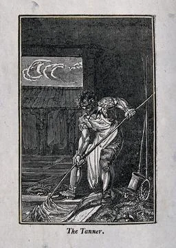 Tannery: interior view, a tanner working and tools of the trade. Engraving. Stock Illustration
