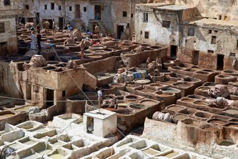 Tannery Stock Photos