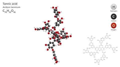 Tannic Acid. 3D model of a molecule. C76H52O46. White background. 3D render Stock Footage 292651118