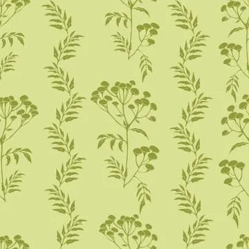 Tansy flowers pattern Stock Illustration