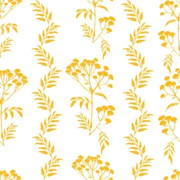 Tansy flowers pattern Stock Illustration