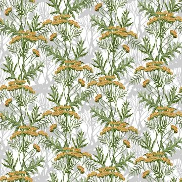 Tansy seamless Pattern. Hand drawn watercolor background with yellow herbs and Stock Illustration