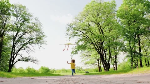 Tanya with kite Stock-Footage 182491037