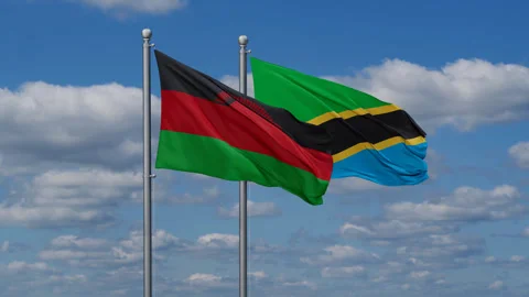 Tanzania and Malawi two flags Stock Footage 287949321
