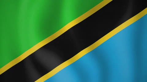 Tanzania animated flag. Seamless loop. 4K Stock Footage 145465556