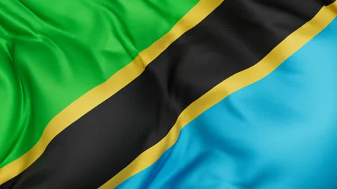 Tanzania cloth flag background loop Stock Footage 310850858