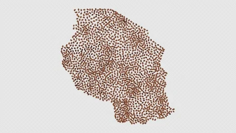 Tanzania Coffee Beans Stock Footage 152735121