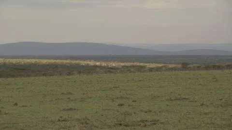 Tanzania empty grassland, mountain Stock Footage