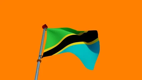 Tanzania Flag in 3D Stock Footage 158721380