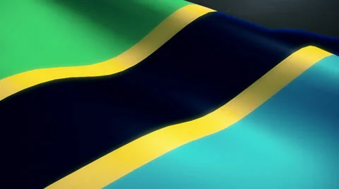 Tanzania Flag Animation Loop Stock Footage 38006331