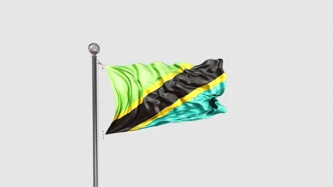Tanzania Flag  Animation Loop Include Alpha 3D Rendering Video stock 312108928