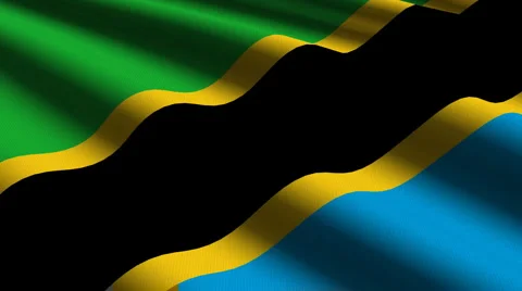 Tanzania flag close up Stock Footage 5090419