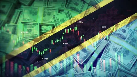 Tanzania Flag on Economic Background With Decrease Bar Chart Graph And Arrow Stock Footage 320893350