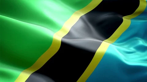 Tanzania Flag Stock Footage 116403635