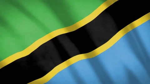 Tanzania Flag Stock Footage 188171744