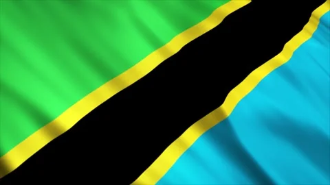Tanzania Flag Stock Footage 249034625
