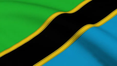 Tanzania Flag Loop Stock Footage 241172380