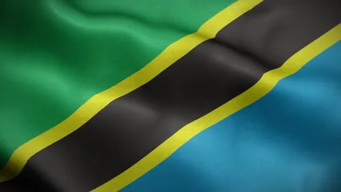 Tanzania Flag Loop Stock-Footage 241531643