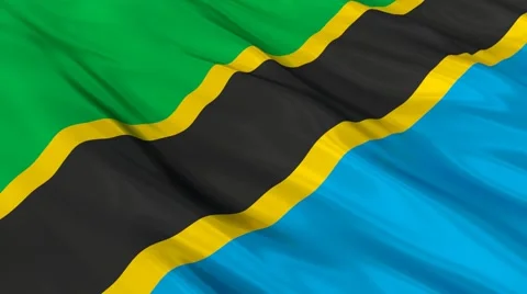 Tanzania flag Seamless Stock Footage 49089223