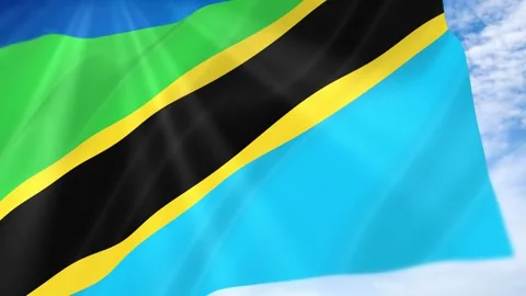 Tanzania Flag Seamless Loop 4k 60fps on Sky Background 動画素材 341678474