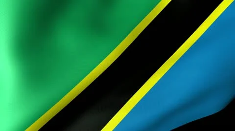 Tanzania Flag Waving 스톡 동영상 12230187