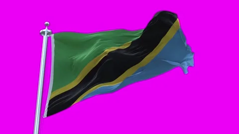 Tanzania Flag Waving in Loopable and Textured green screen background Stock Footage 296875889
