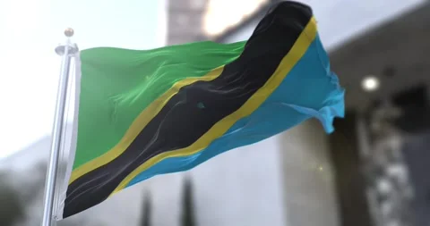 Tanzania-flag-waving-seamless-loop-4k-60fps Stock Footage 331787285