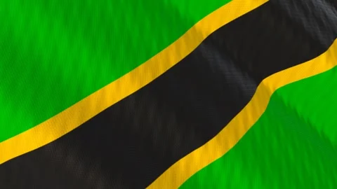 Tanzania flag waving white background loop 스톡 동영상 342965169
