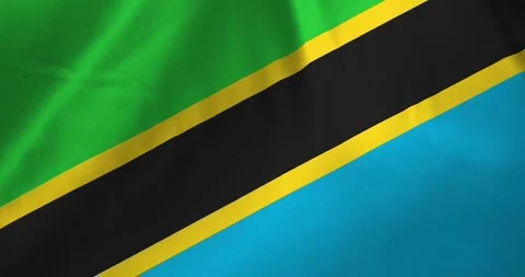 Tanzania flag waving with the wind background loop video animation Stock Footage 327173663