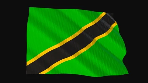 Tanzania flag waving in the wind on a black background Stockbeeldmateriaal 343214345