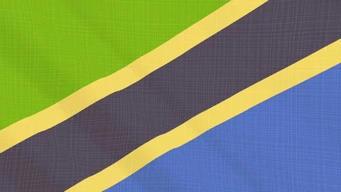 Tanzania flag waving in the wind. Icon in the frame. Animation loop Stock Footage 83796258