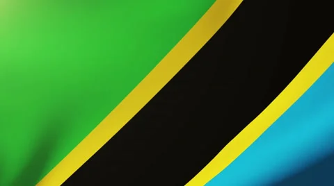 Tanzania flag waving in the wind. Looping sun rises style.  Animation loop Stock Footage 48914324