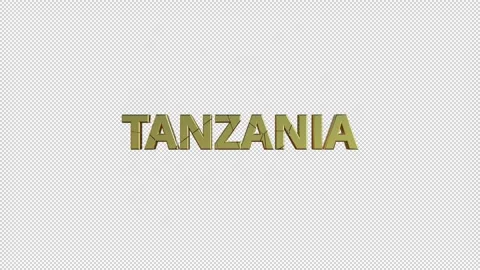 TANZANIA Stock Footage 307982208